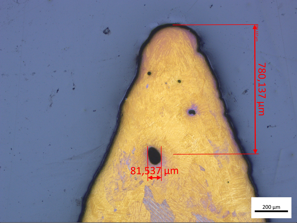 Lumière du microscope